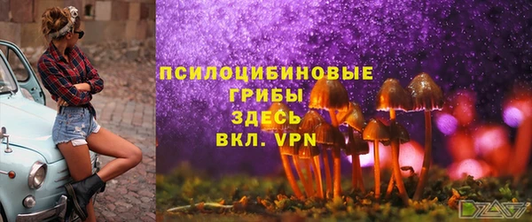 кокс Алзамай
