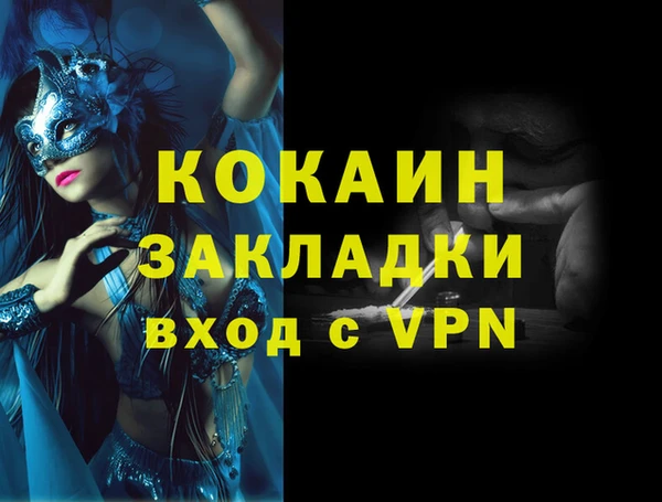 соль ск Алексин